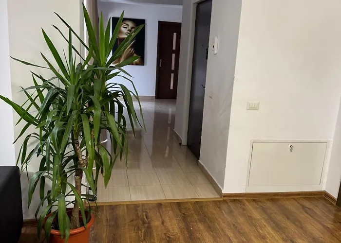 公寓 Bright Penthouse Mamaia Nord 那沃达利